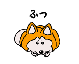 Shiba inu MOMO chan the third as well 32 sticker #12932807
