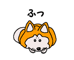 Shiba inu MOMO chan the third as well 32 sticker #12932807
