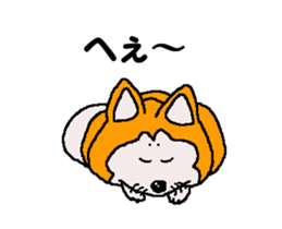 Shiba inu MOMO chan the third as well 32 sticker #12932808