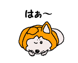 Shiba inu MOMO chan the third as well 32 sticker #12932809