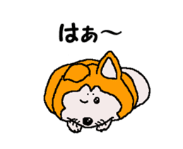 Shiba inu MOMO chan the third as well 32 sticker #12932809