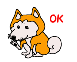 Shiba inu MOMO chan the third as well 32 sticker #12932810
