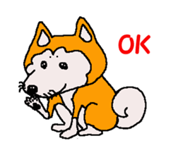 Shiba inu MOMO chan the third as well 32 sticker #12932810