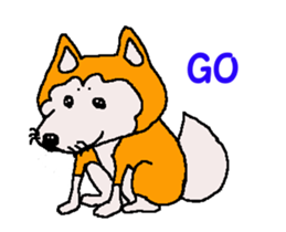 Shiba inu MOMO chan the third as well 32 sticker #12932811