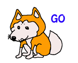 Shiba inu MOMO chan the third as well 32 sticker #12932811