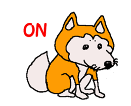 Shiba inu MOMO chan the third as well 32 sticker #12932812