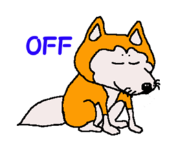 Shiba inu MOMO chan the third as well 32 sticker #12932813