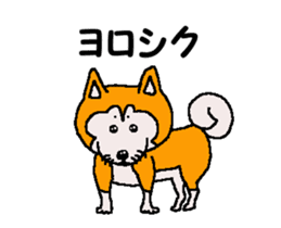 Shiba inu MOMO chan the third as well 32 sticker #12932814