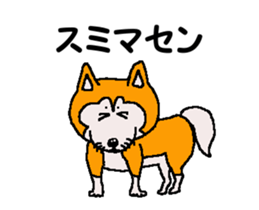 Shiba inu MOMO chan the third as well 32 sticker #12932816