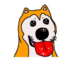 Shiba inu MOMO chan the third as well 32 sticker #12932818