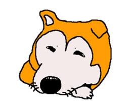 Shiba inu MOMO chan the third as well 32 sticker #12932820