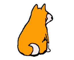 Shiba inu MOMO chan the third as well 32 sticker #12932821