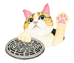 Cat Animated Stickers sticker #12932903