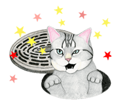 Cat Animated Stickers sticker #12932904