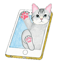 Cat Animated Stickers sticker #12932907