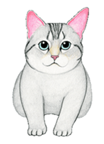Cat Animated Stickers sticker #12932909
