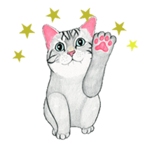 Cat Animated Stickers sticker #12932911