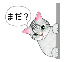 Cat Animated Stickers sticker #12932914