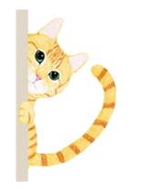 Cat Animated Stickers sticker #12932915