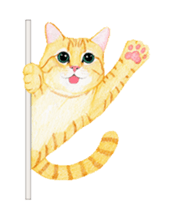 Cat Animated Stickers sticker #12932916