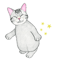 Cat Animated Stickers sticker #12932917