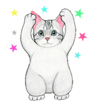 Cat Animated Stickers sticker #12932919