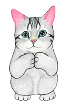 Cat Animated Stickers sticker #12932920