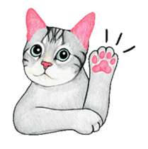 Cat Animated Stickers sticker #12932921