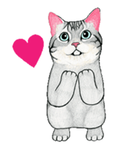 Cat Animated Stickers sticker #12932923