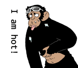 CHIMP ANDY of chimpanzee 3rd ver.English sticker #12935467