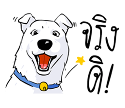 Kung fu & O-Liang sticker #12936095