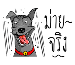 Kung fu & O-Liang sticker #12936096