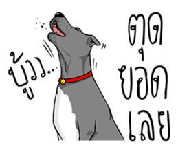 Kung fu & O-Liang sticker #12936100