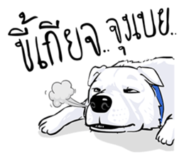 Kung fu & O-Liang sticker #12936101