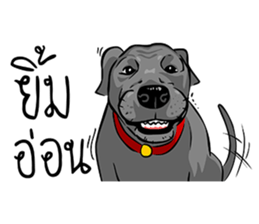 Kung fu & O-Liang sticker #12936110