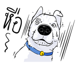 Kung fu & O-Liang sticker #12936115