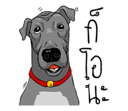 Kung fu & O-Liang sticker #12936124