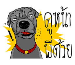 Kung fu & O-Liang sticker #12936126