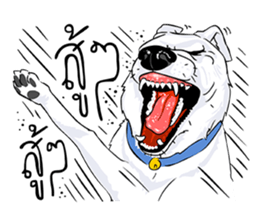 Kung fu & O-Liang sticker #12936133