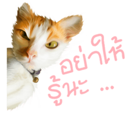 What Dose The Cat Say? sticker #12936686