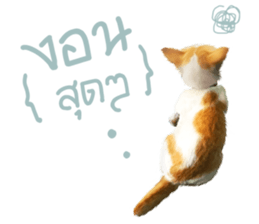What Dose The Cat Say? sticker #12936688