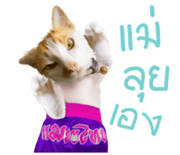 What Dose The Cat Say? sticker #12936698