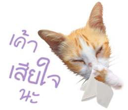 What Dose The Cat Say? sticker #12936701