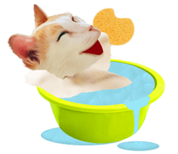 What Dose The Cat Say? sticker #12936705