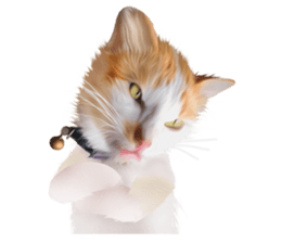 What Dose The Cat Say? sticker #12936706