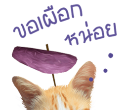 What Dose The Cat Say? sticker #12936707