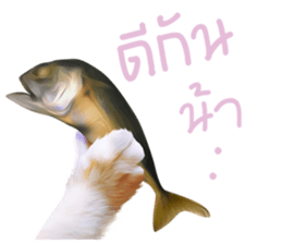 What Dose The Cat Say? sticker #12936710