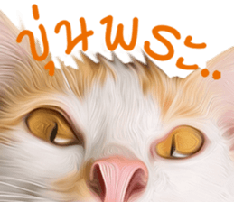 What Dose The Cat Say? sticker #12936711