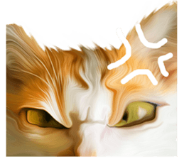 What Dose The Cat Say? sticker #12936712