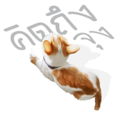 What Dose The Cat Say? sticker #12936715